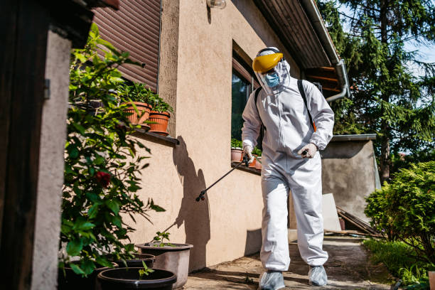 Best Spider Control Near Me  in Skyline View, PA