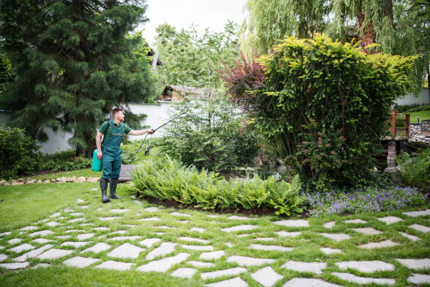 Best Pest Control Near Me in Skyline View, PA