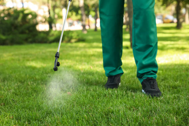 Best Pest Prevention Services  in Skyline View, PA