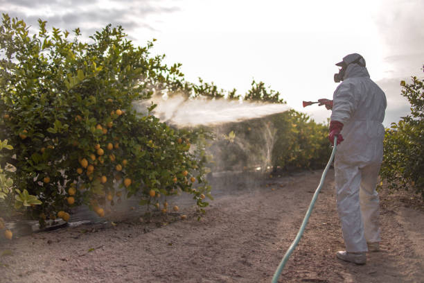 Best Termite Control Services  in Skyline View, PA