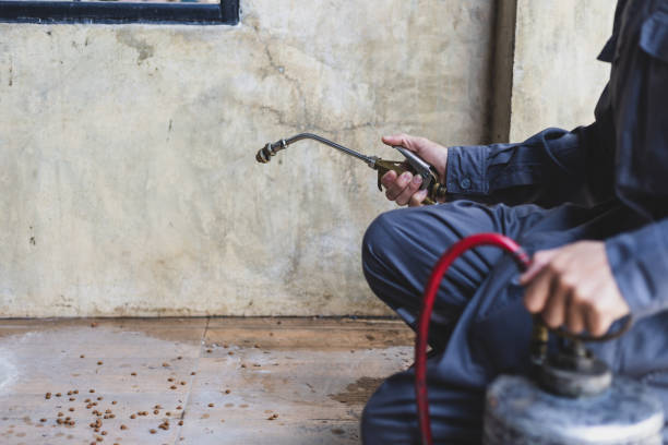 Best Wasp Removal Services  in Skyline View, PA